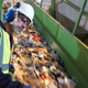 Illustration for article titled How Recycling Works
